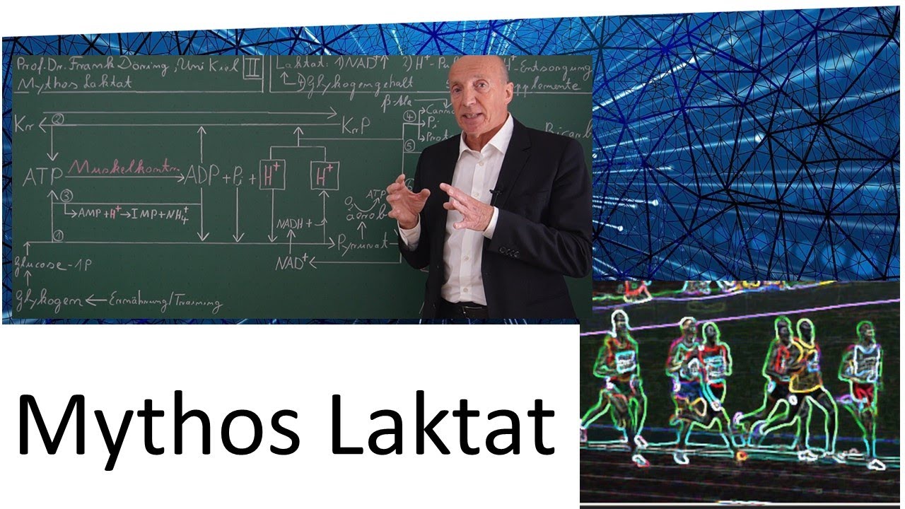 Mythos Laktat – Ursache der muskulären Übersäuerung bei anaerober Belastung?