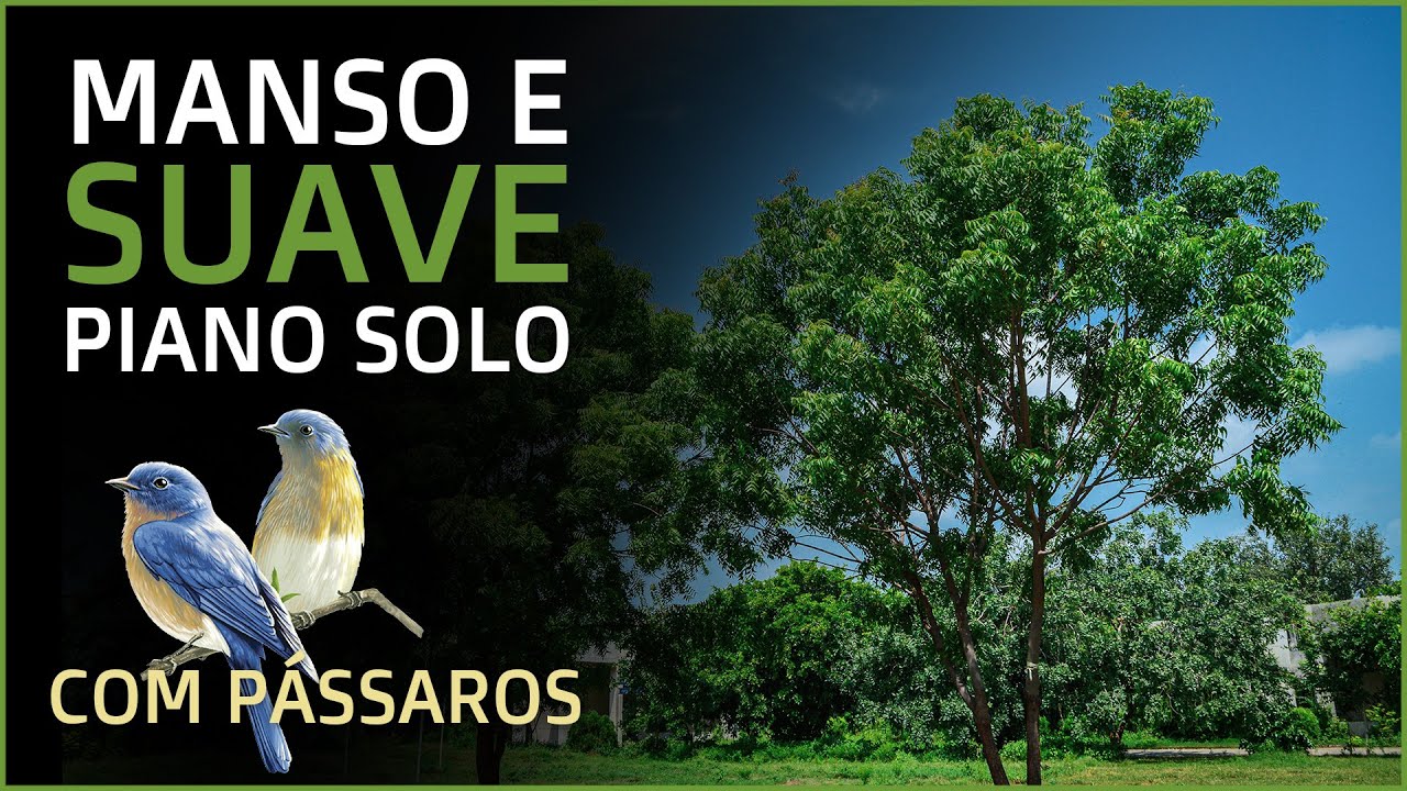 PIANO TRANQUILO - Fundo Musical do Hino Manso e Suave - Musica para orar, pregar e Adorar a Deus