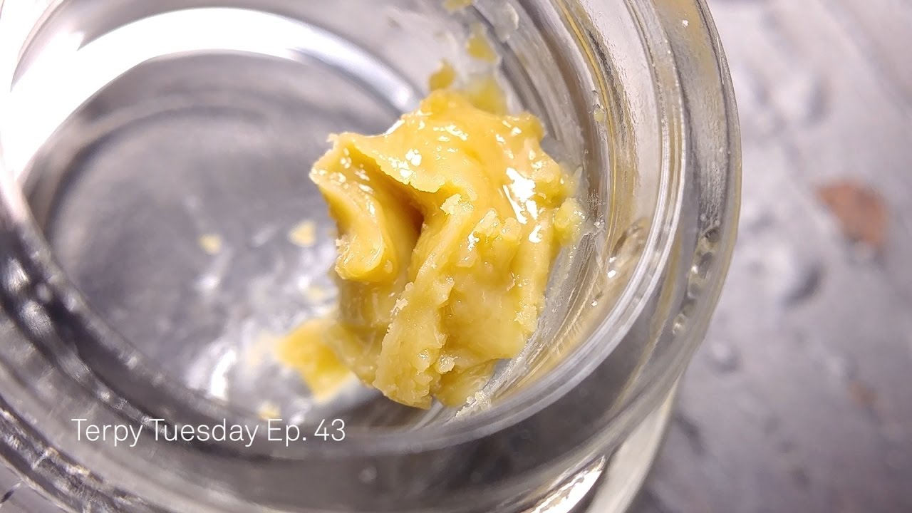 Critical710 x Blackleaf Blackwater OG: Terpy Tuesday Ep. 43