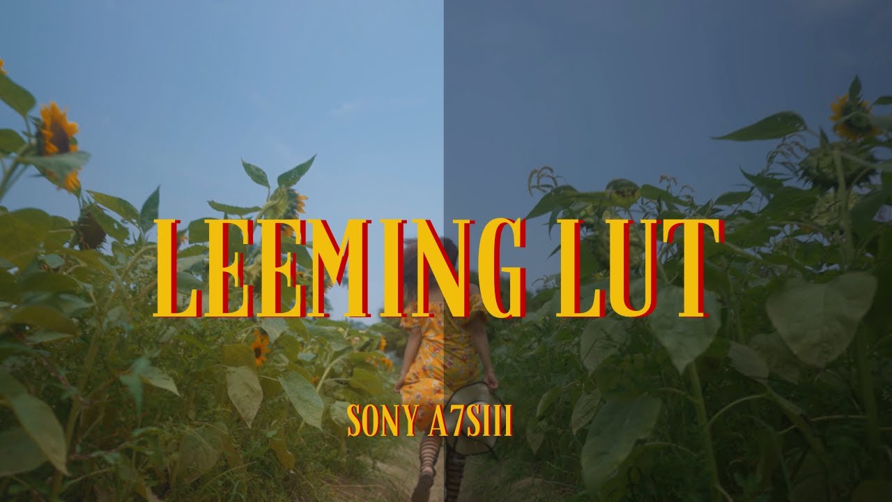 Leeming Lut for Sony A7S3 Slog3 Sgamut.cine color correction before and after