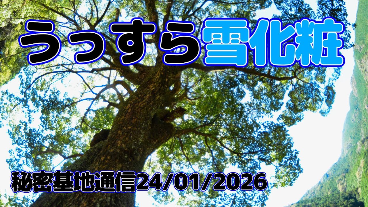 夜の秘密基地ライブ  JAN.24.2026　#鳥の鳴き声　♯自然の音声　#いの町