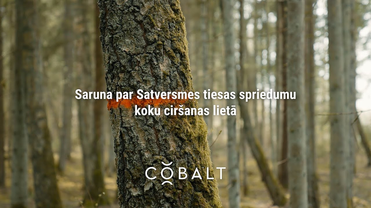 Saruna par Satversmes tiesas spriedumu koku ciršanas lietā