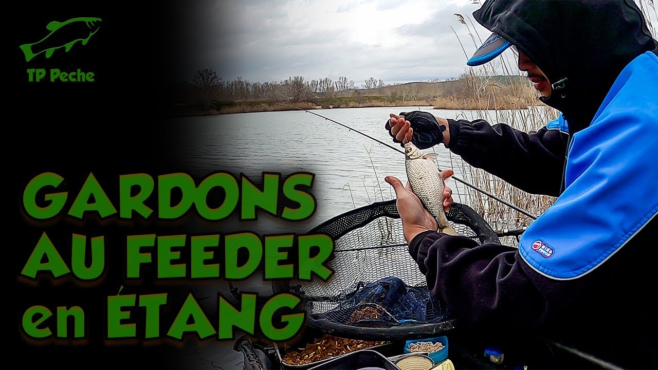 PÊCHE de GARDONS au FEEDER dans un NOUVEL ÉTANG