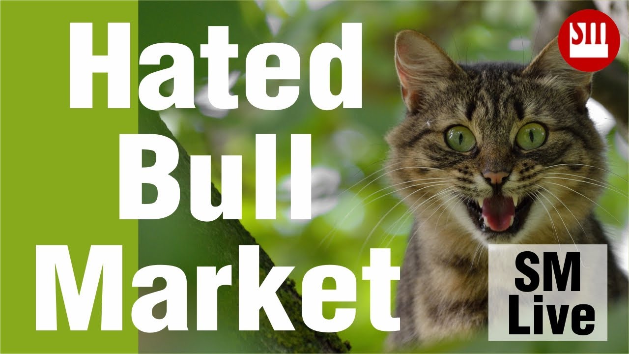 🔰🔶 🔰🔶Hated Bull Market | SM LIVE | 28th May 2021