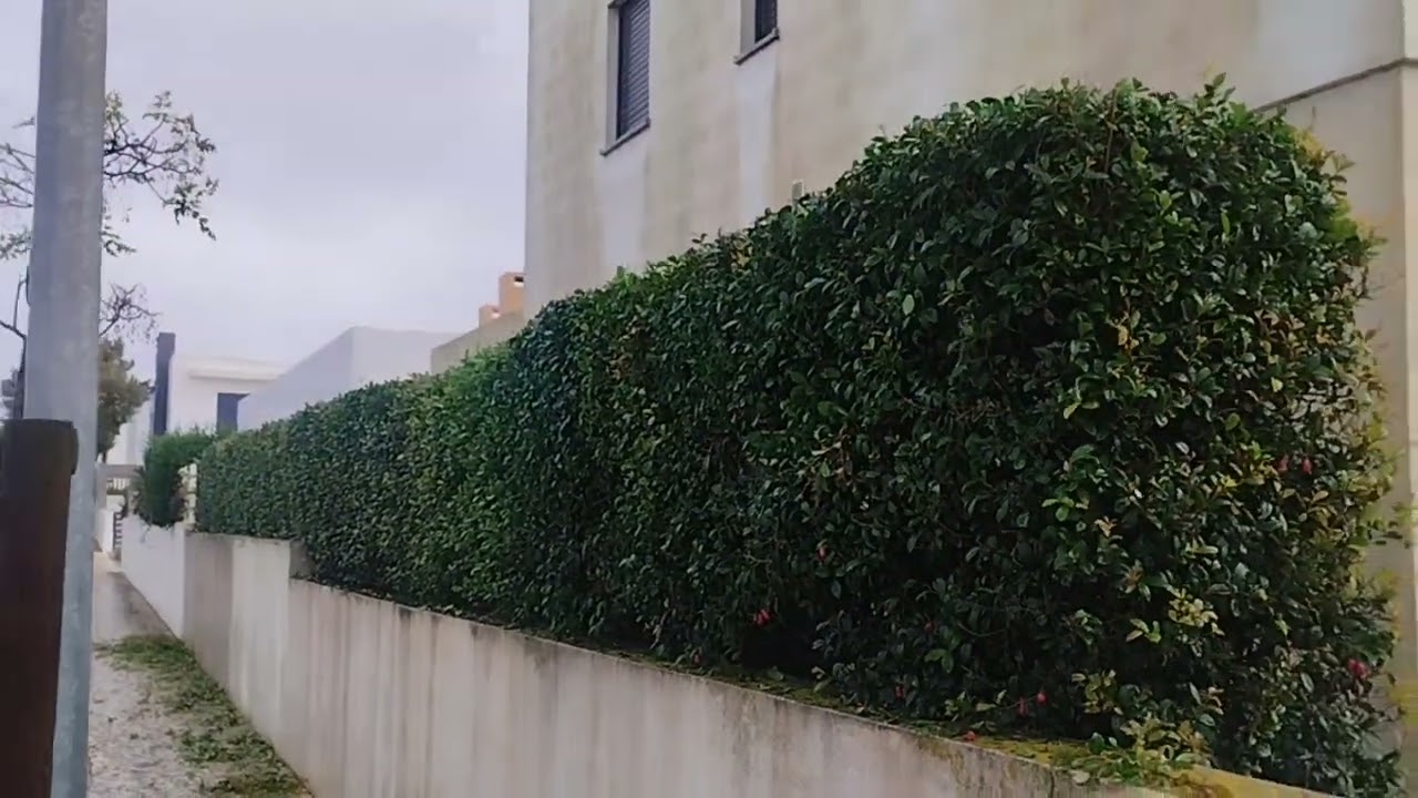 jardinagem em Porto covo