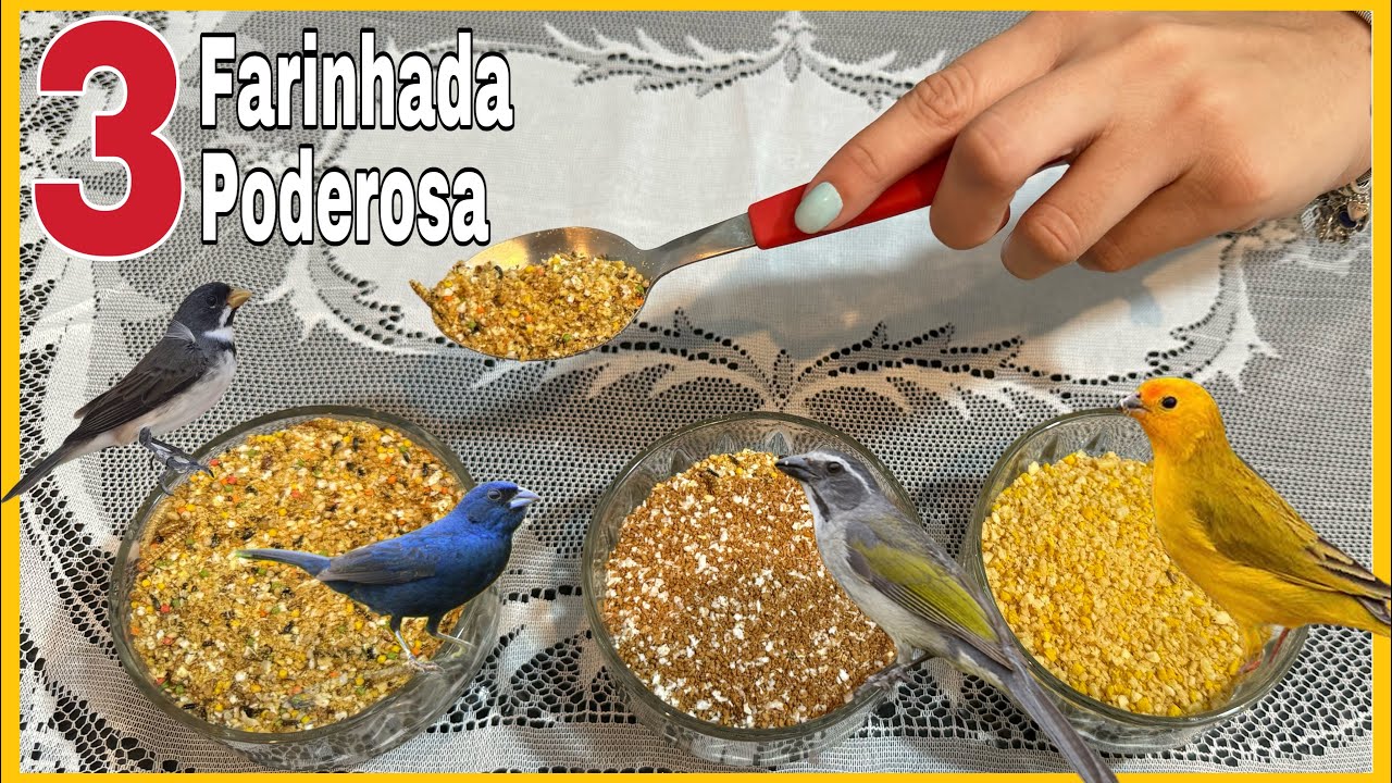 3 TIPOS DE FARINHADAS PODEROSA PARA APRONTAR PÁSSAROS