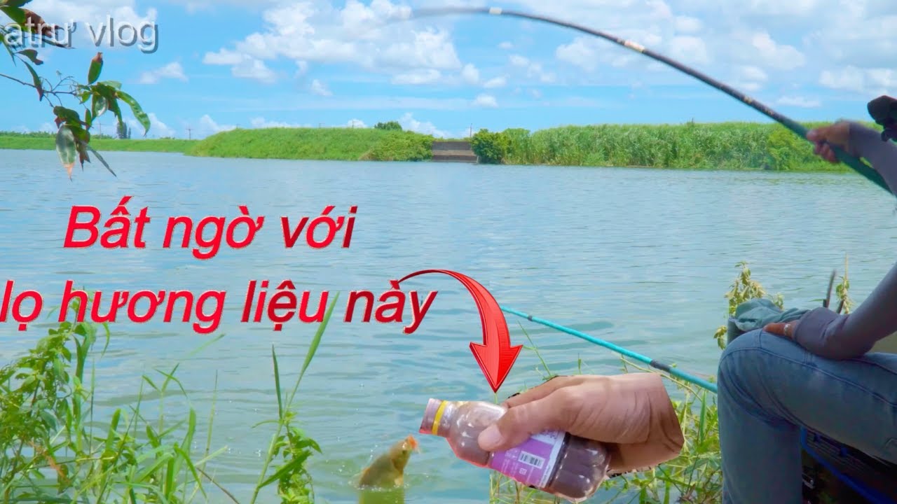 Trải nghiệm vị mắm tôm câu đài hồ tự nhiên và cái kết .. / atrư vlog