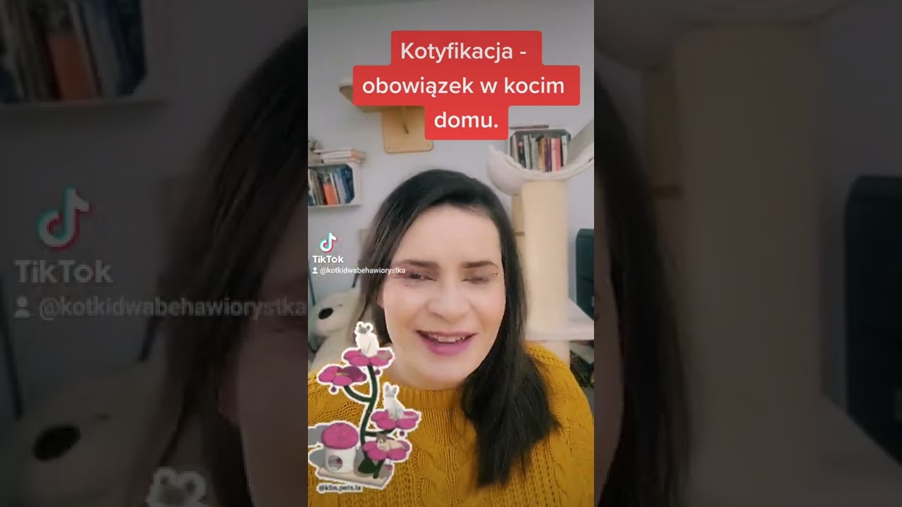 Kotyfikacja - co to takiego?