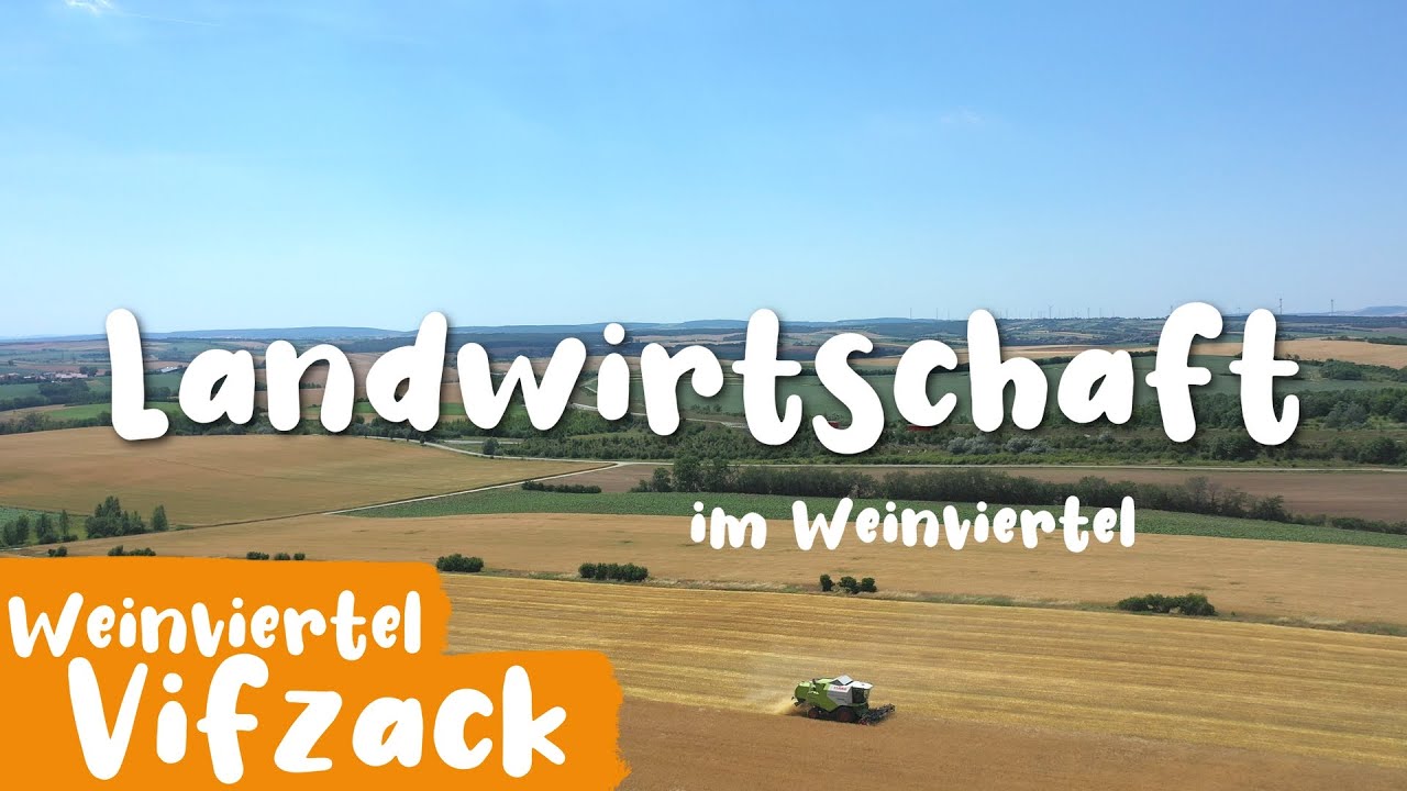 Landwirtschaft | Der Weinviertel Vifzack auf Entdeckungsreise