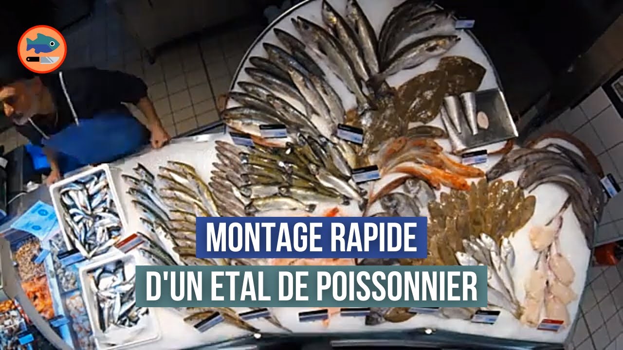 Comment monter un étal de poissonnier ? (Time lapse)