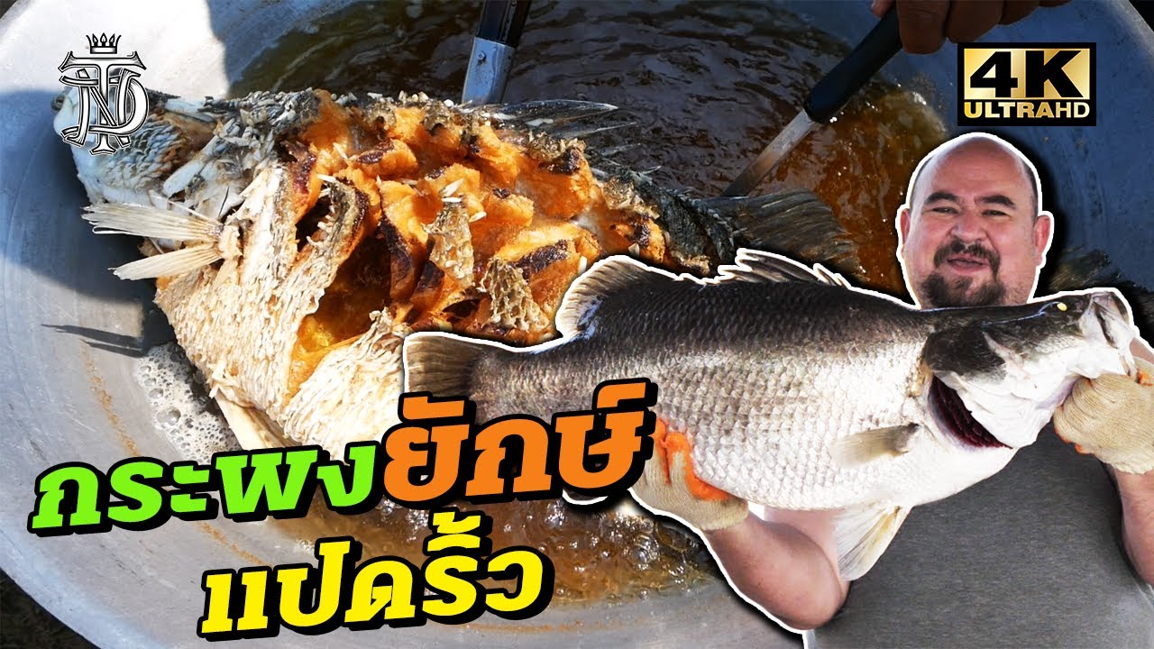 ปลากระพงยักษ์ แปดริ้ว | Giant Sea bass 10 KG.
