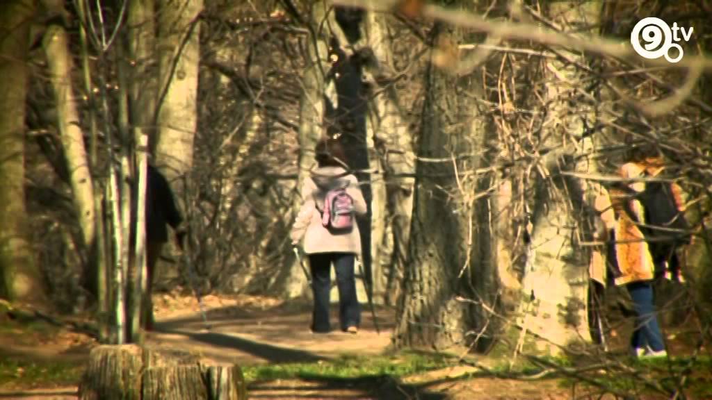 9. Tv. - A teljesség felé - Nordic walking sétatúra