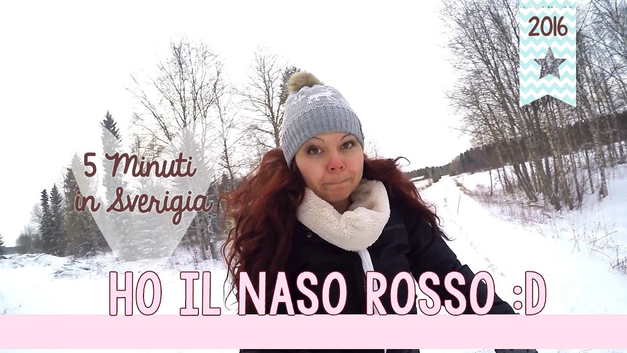 5 Minuti in Sverigia 2016! - Un salutino veloce ♥