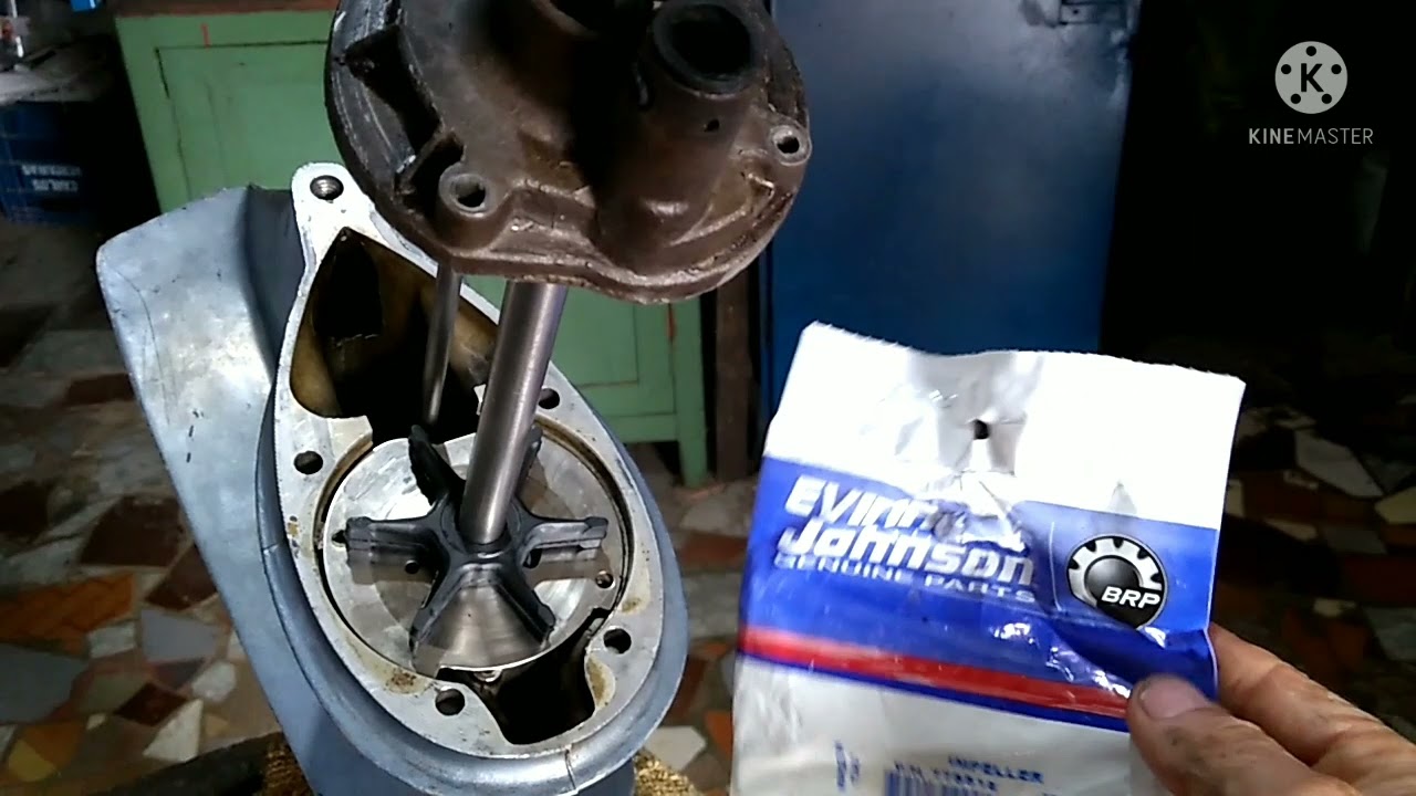 MOTOR EVINRUDE 25 HP - parte 2