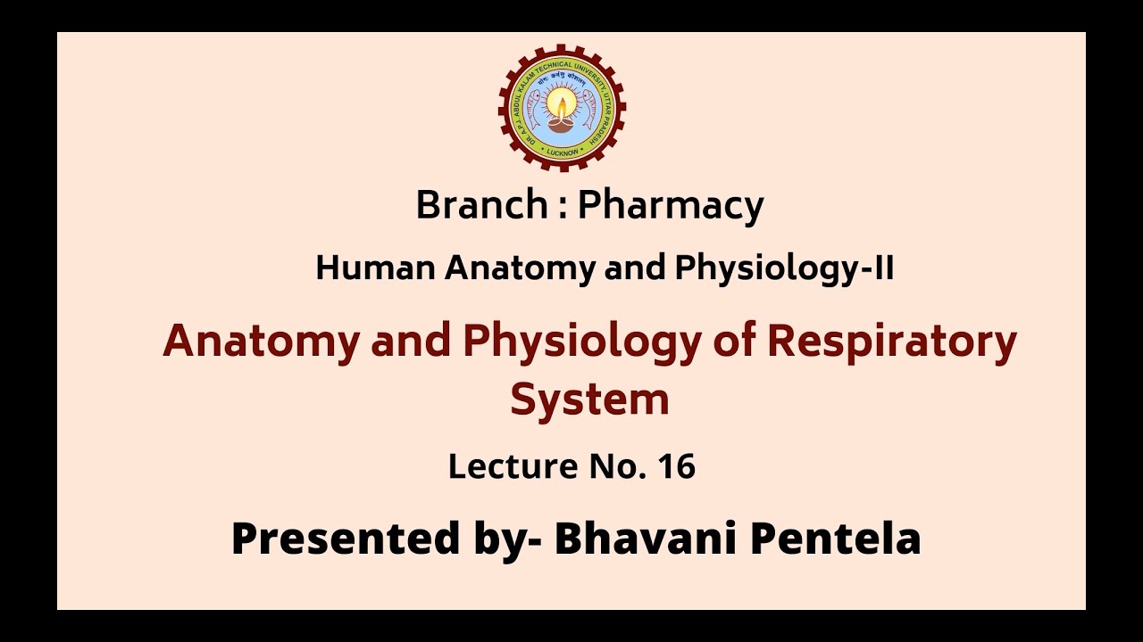 Human Anatomy & Physiology-II | Anatomy and Physiology of Respiratory System| AKTU Digital Education