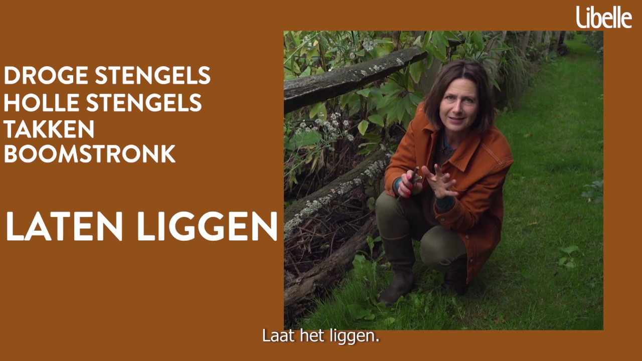 Help de dieren de winter door! (ism Libelle)