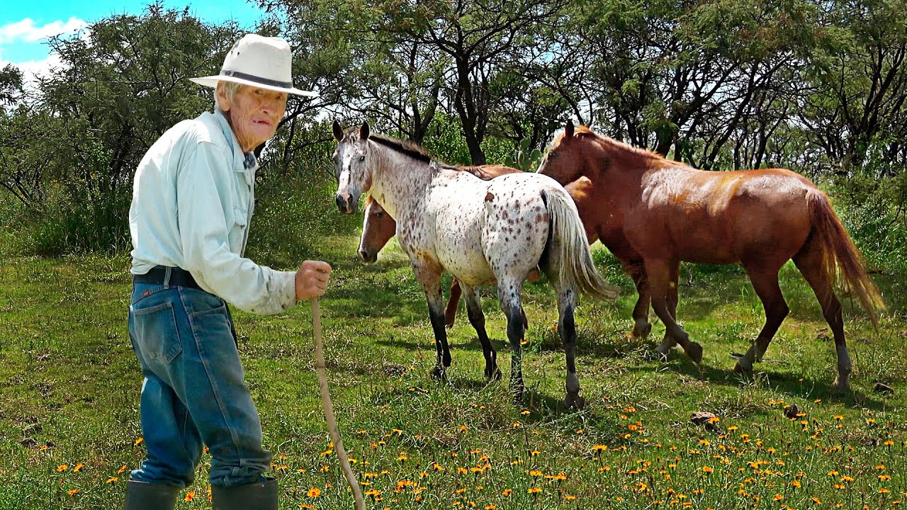 MI DESTINO es vivir en el monte, SOLO DIOS sabe si nos volvamos a ver