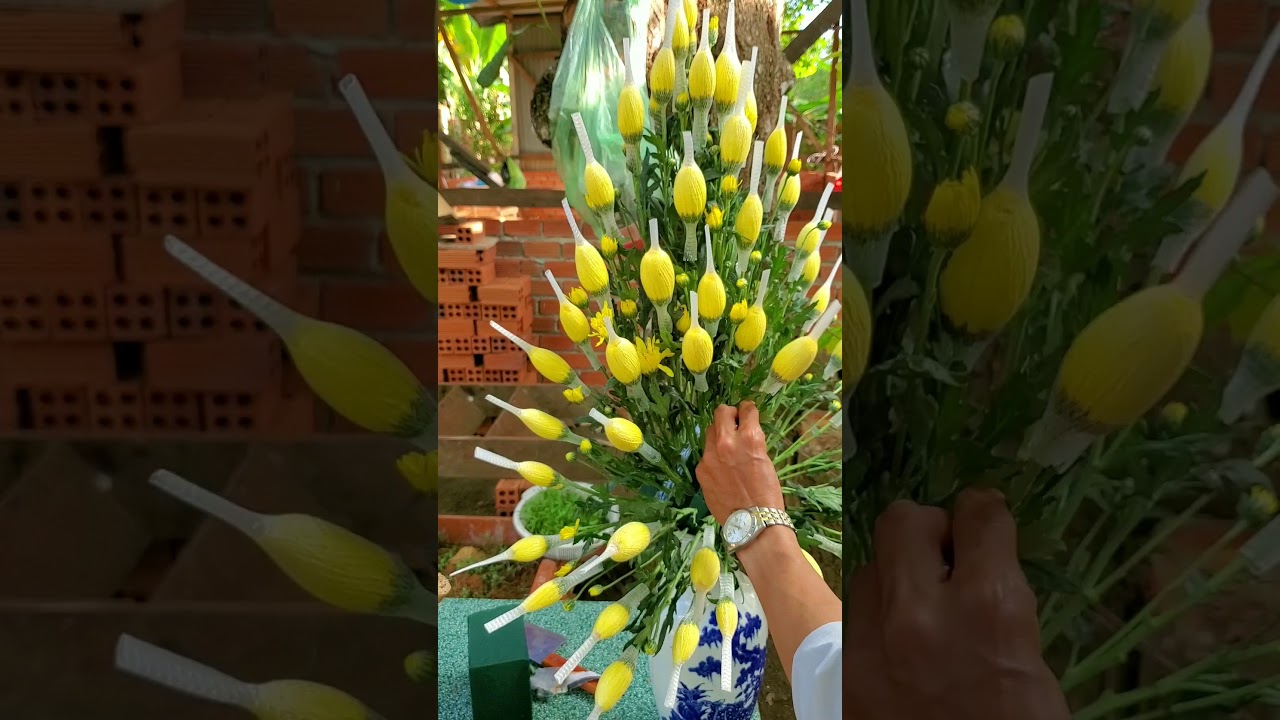CÁCH CAM HOA CÚC NGÀY  TẾT - HOA NGHỆ  THUẬT