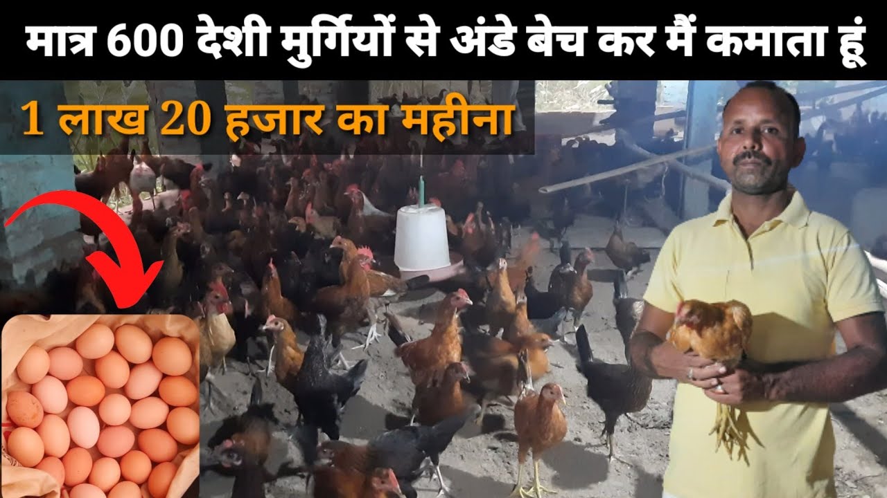 Deshi Poultry Farm  देशी मुर्गी से लाखो रुपया महीने का कमाना सीखे इस फार्मर की तरह #deshimurgipalan