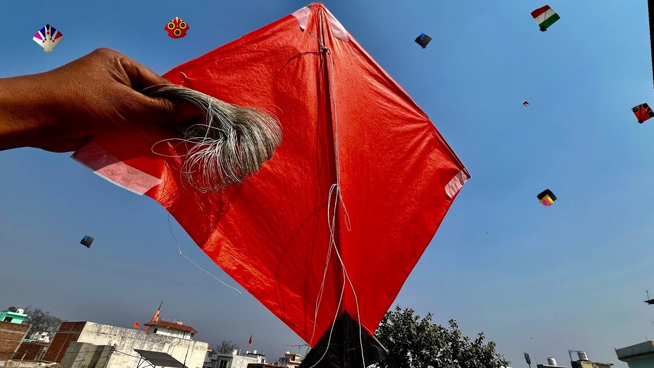 Kite catching and kite flying on rooftop / 1 kite looting 😱😱#@PrakashSaini5555-y7p 
