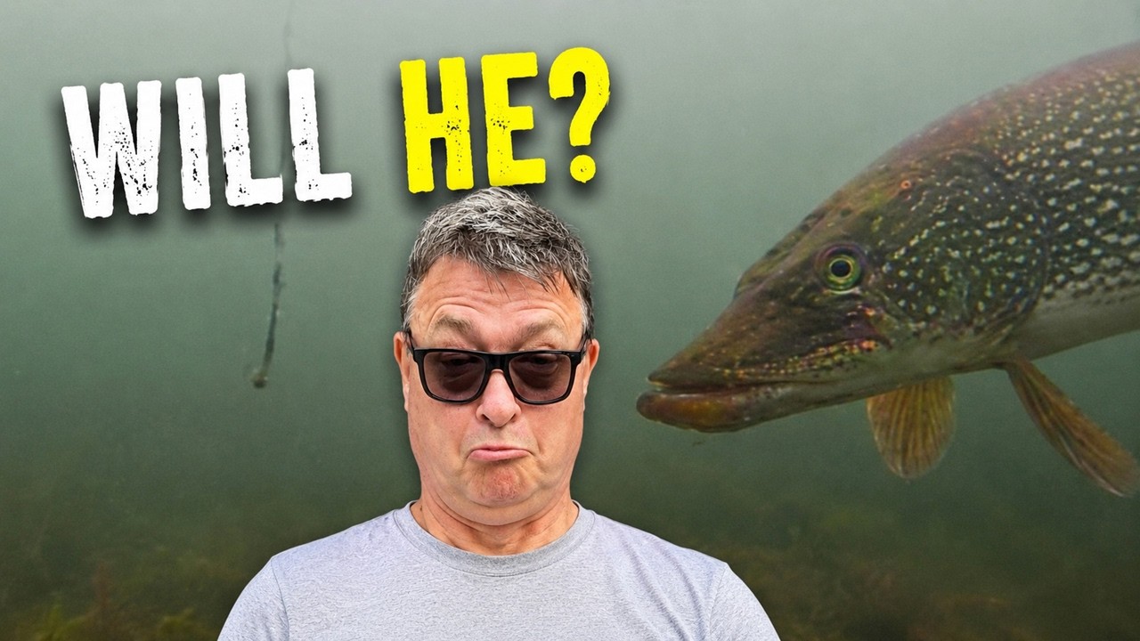 Curious Fish Under the Ice — Perch Takes the Bait, Pike Thinks Twice
