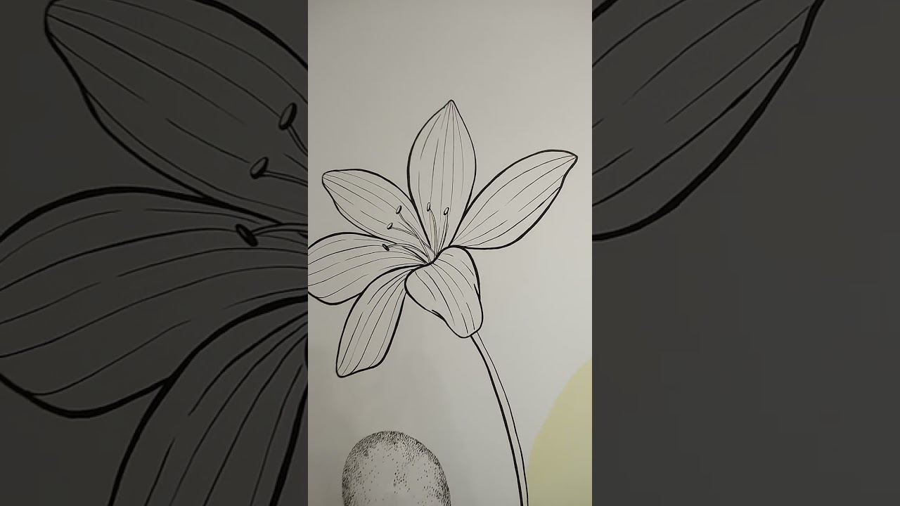 procesos 🌟🌟 #arte ##pintura #design #mural #muralarts #flores #art #artist #decoracion #artegitt