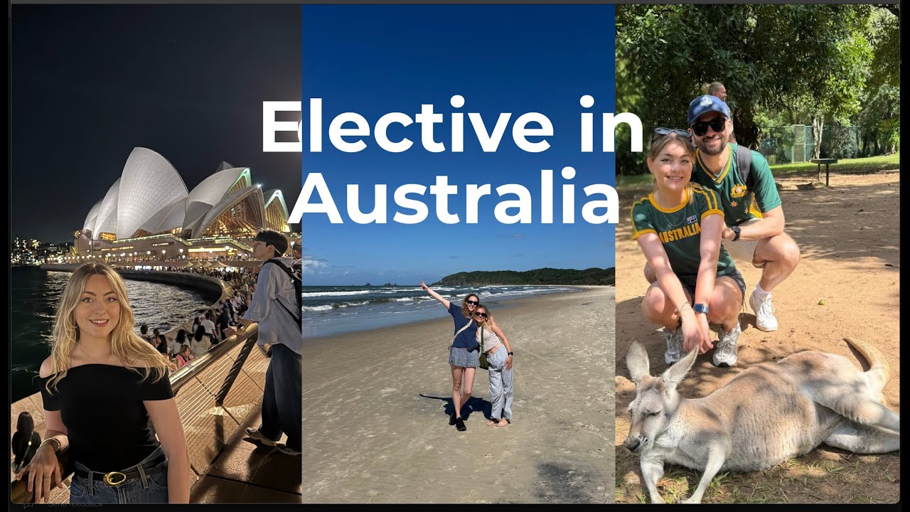 The last elective vlog! | Sydney to Brisbane Roadtrip & Australia Zoo