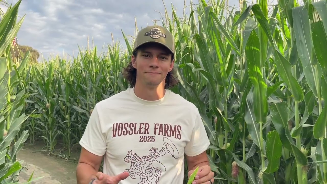 Vossler Farms Corn Maze 2025