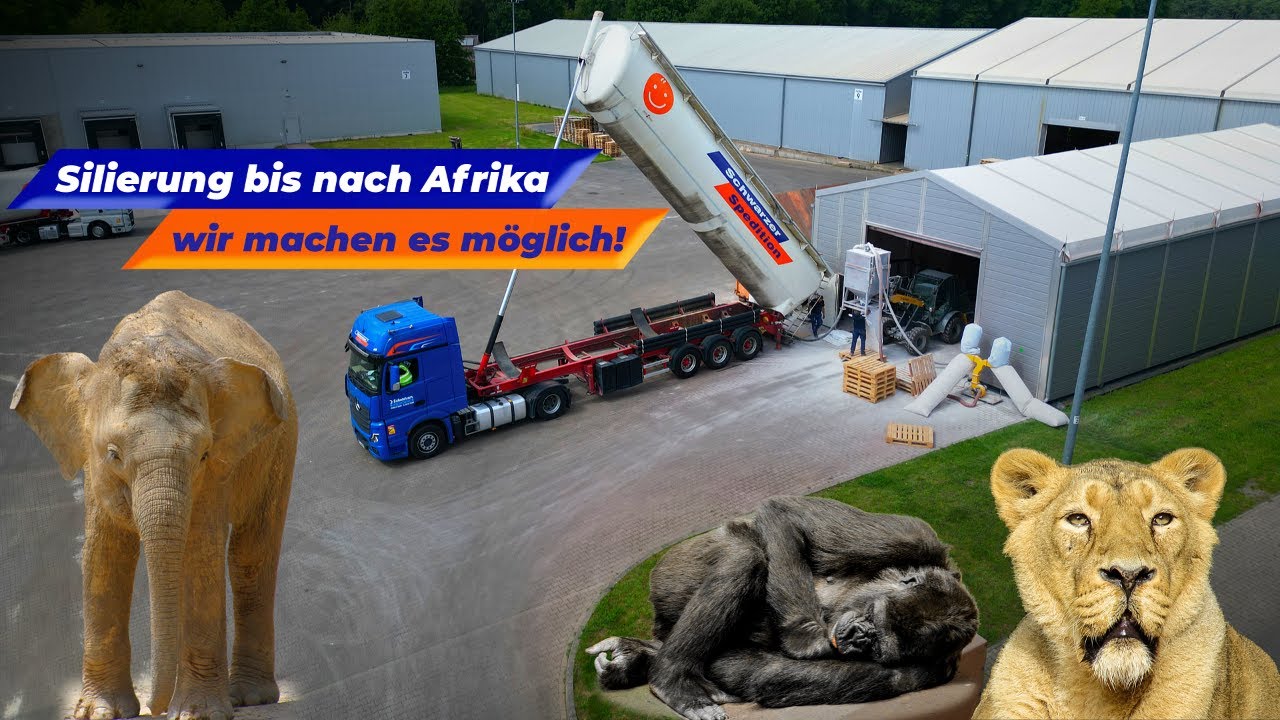 Von Deutschland bis nach Afrika – Perfekte Logistiklösungen von Schwarzer Logistics!