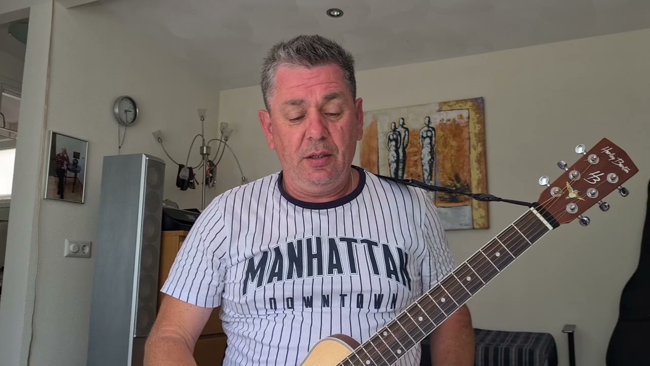 Harley Benton,Traveler-E-Steel Guitar,обзор инструмента для путешествий.