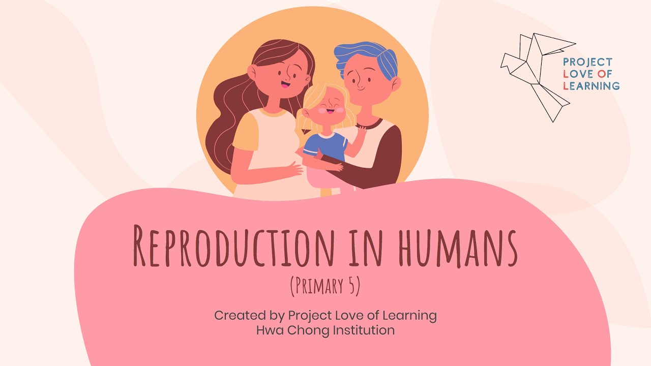 PSLE Science - Reproduction in Humans