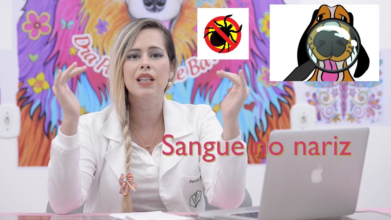 SANGUE PELO NARIZ DO SEU CÃO?  O QUE PODE SER ? O QUE FAZER ?