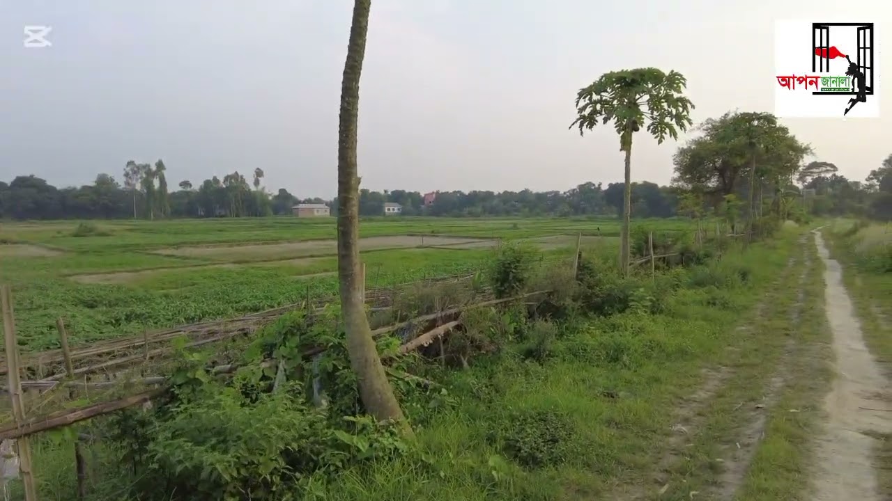 কেরানীগঞ্জের ঐতিহ্যবাহী হযরতপুরের প্রাকৃতিক পরিবেশ।