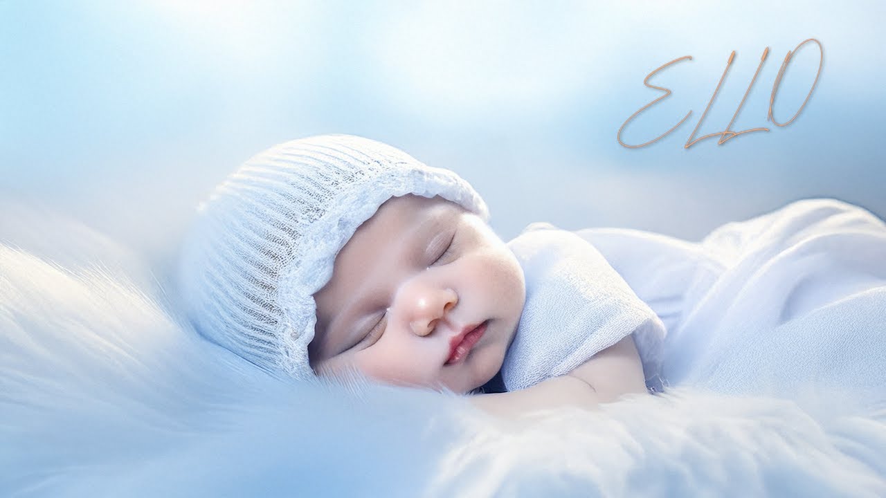 Night, Night (L) - Ello-Menno-P (Official)