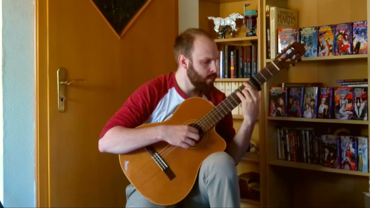 Noir OST: Snow - Yuki Kajiura (Guitar Fingerstylesolo Cover) [TABS]