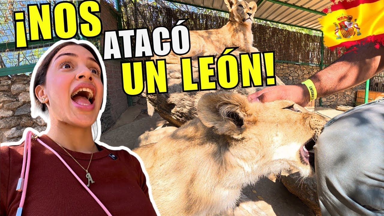 Fuimos a un ZOOLÓGICO tipo SAFARI y esto fue lo que pasó 🦁 😲 | Alejandra Díaz