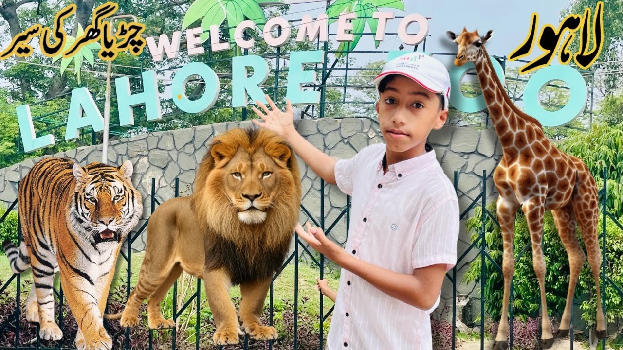 Lahore Zoo Visit 4K | European Style Zoo In Pakistan 🐳🐅🐆 | Part 1