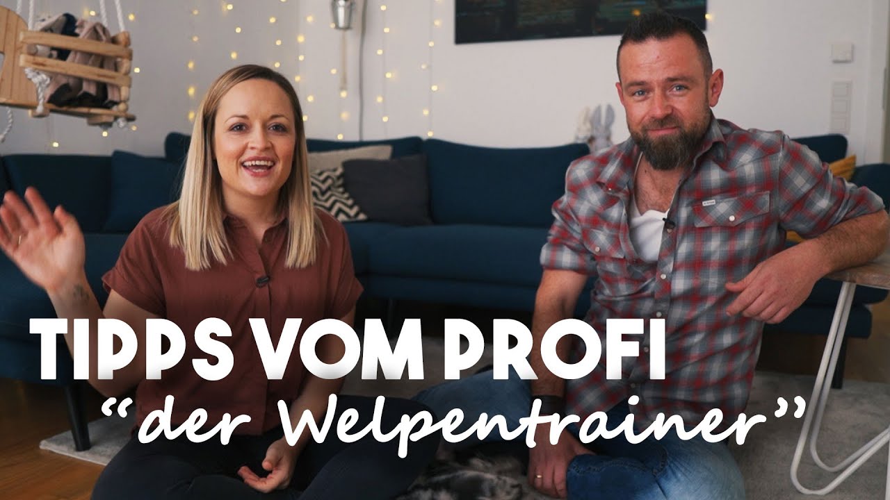 ein Welpe zieht ein I Q&A mit André Vogt der Welpentrainer I Mellis Blog