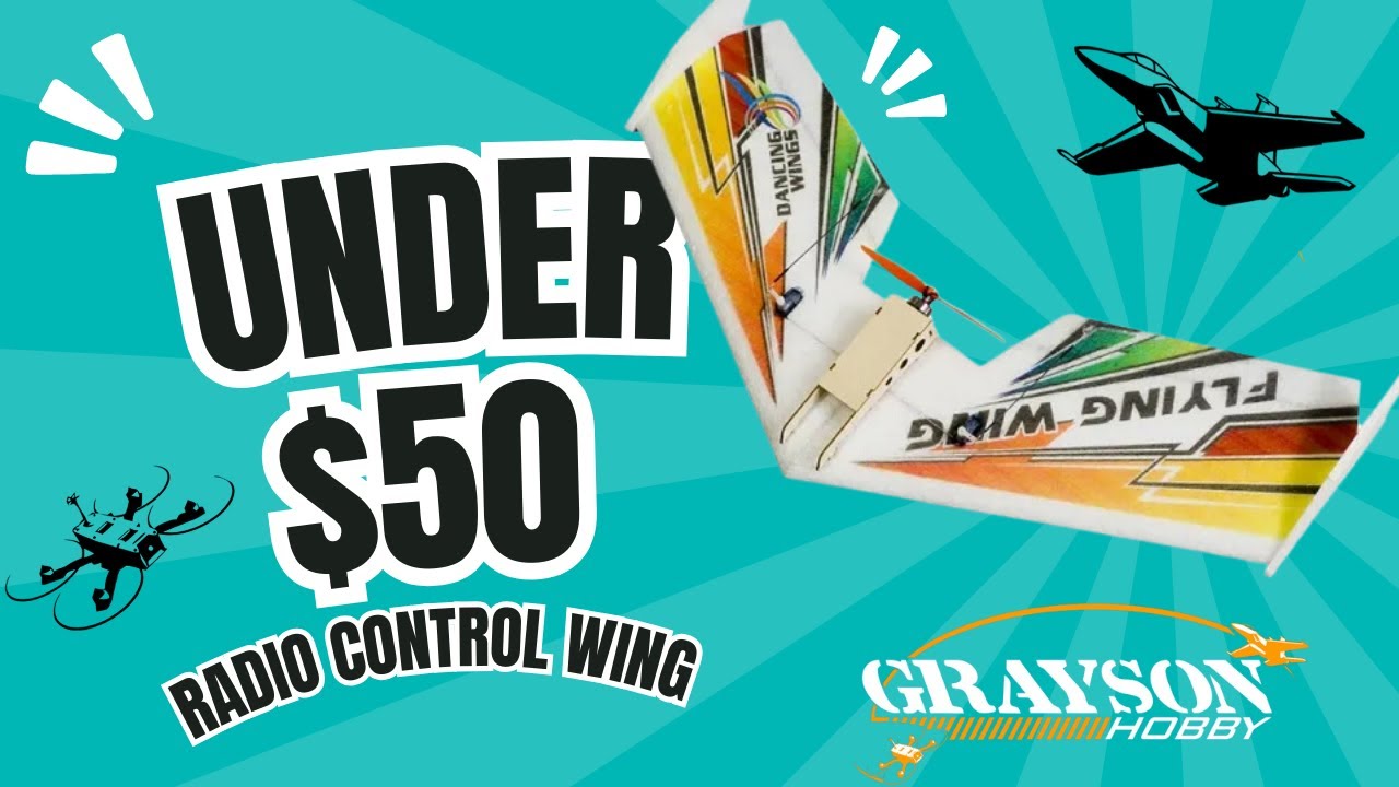 DW Hobby 600mm Flying Wing Review | Affordable RC Plane Under $50