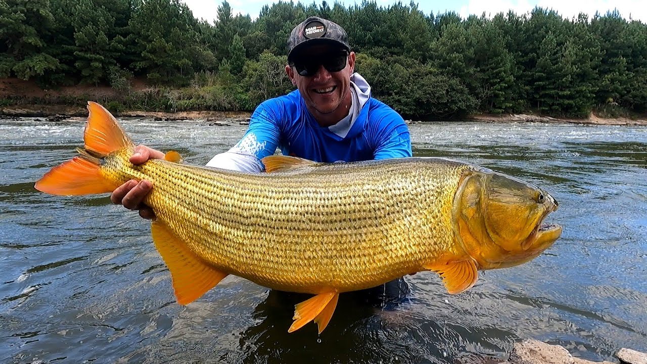 ISCA LUNATICA ARRANCANDO MUITO MONSTRO DA ÁGUA, ATÉ DOURADO DE 10KG SAIU, AÇÃO DO COMEÇO AO FIM!!!