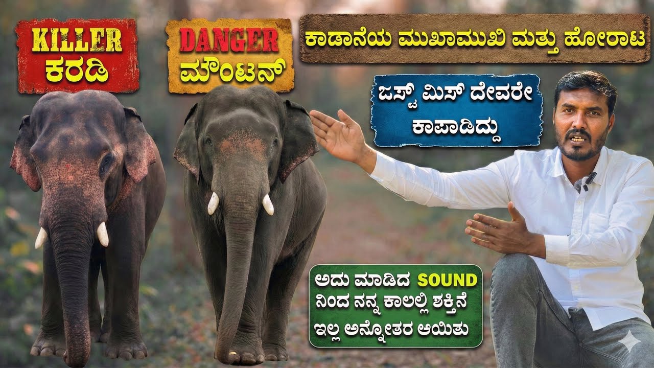 ಕರಡಿ ಮತ್ತು ಮೌಂಟನ್ ಸಾವು ಕಣ್ಣ ಮುಂದೆಯೇ ಇದೆ ಅನ್ನಿಸಿತು- ಆ ಕ್ಷಣ ಈಗಲೂ ನನ್ನನ್ನು ಕಾಡುತ್ತದೆ 