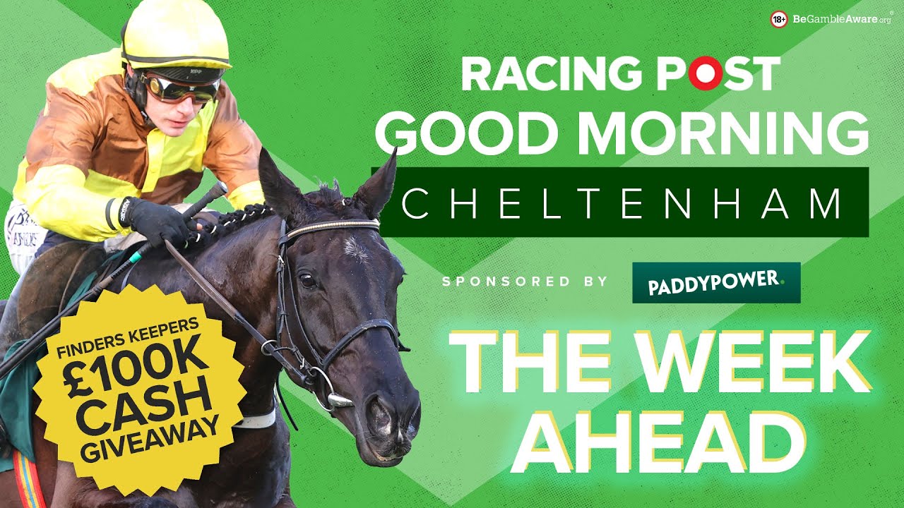 Good Morning Cheltenham LIVE | Horse Racing Tips | Cheltenham Festival | Racing Post
