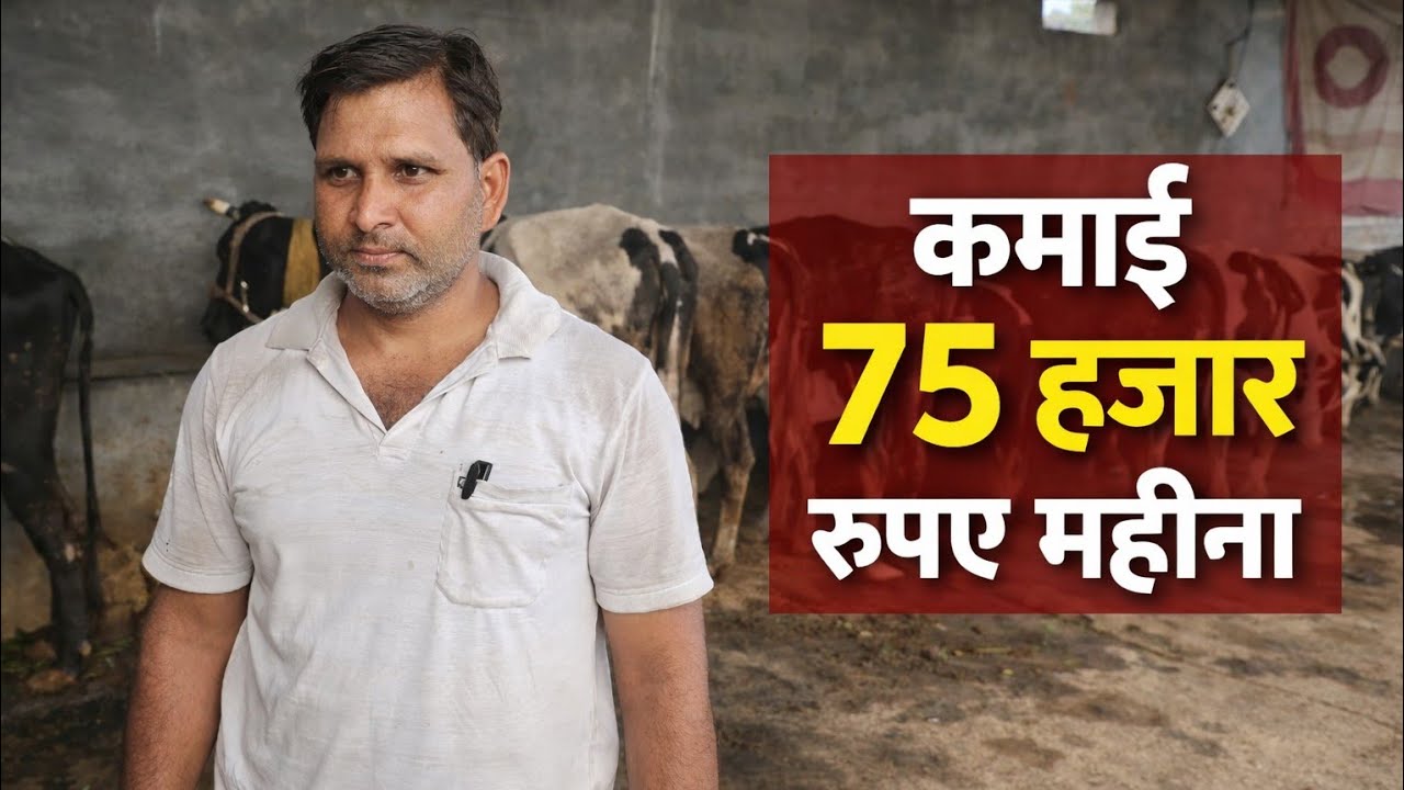 अगर आप भी डेरी फार्म बिजनेस कर रहे है या करने का सोच रहे हे तो ये वीडियो आप के लिए...#dairybusiness