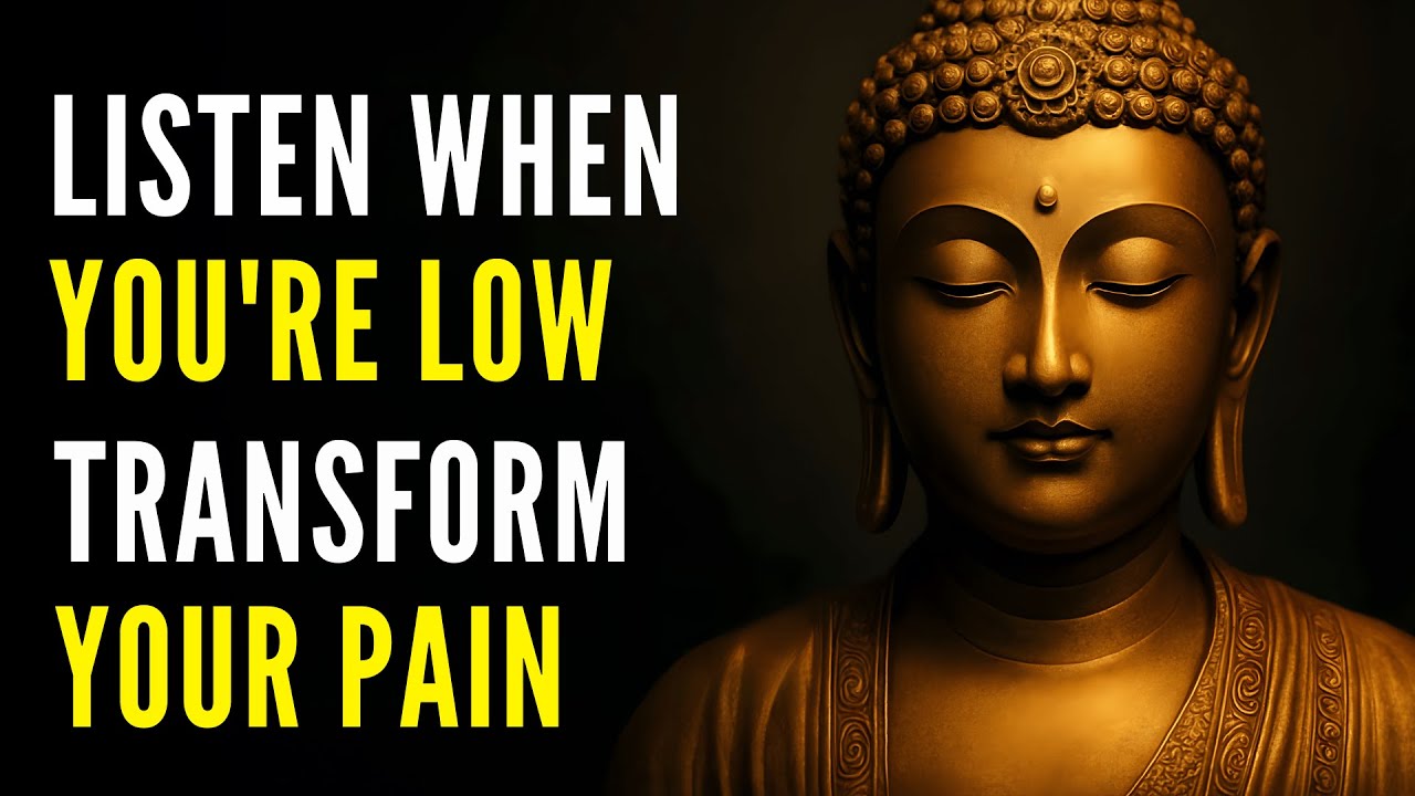 Listen To This When You're Feeling Lost | A Buddhist Guided Meditation