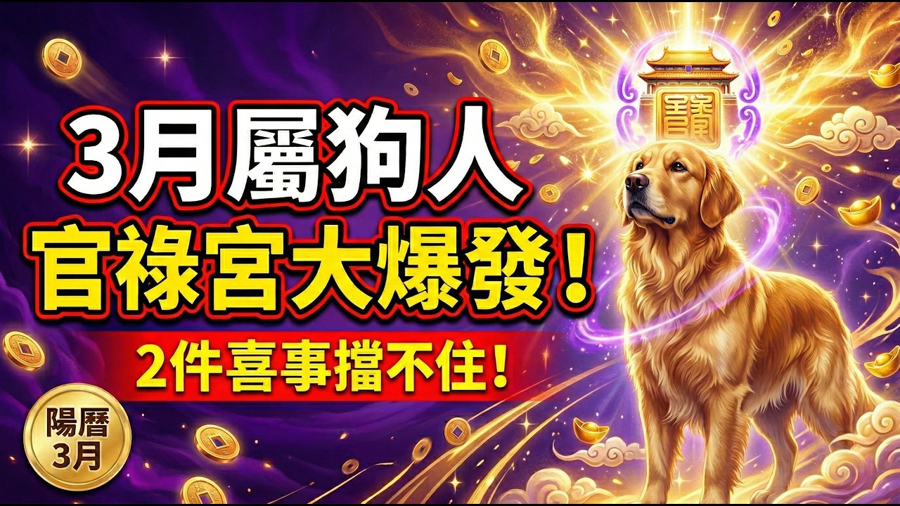 屬狗人大轉機：陽曆3月「官祿宮」大放異彩，這2件喜事已在路上！#屬狗2026運勢 #2026生肖狗運勢 #轉運 #官祿宮 #財運 #事業 #風水 #開運 #改運 #偏財運 #風水 #生肖狗 #屬狗