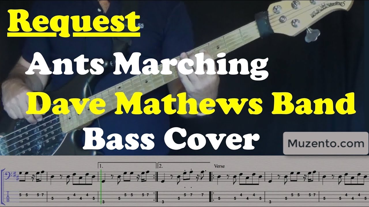 Ants Marching - Bass Cover - Request