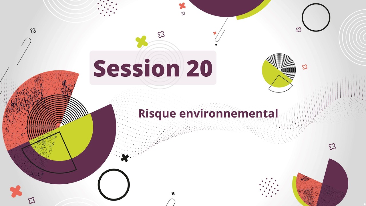 Session 20 : Risque environnemental
