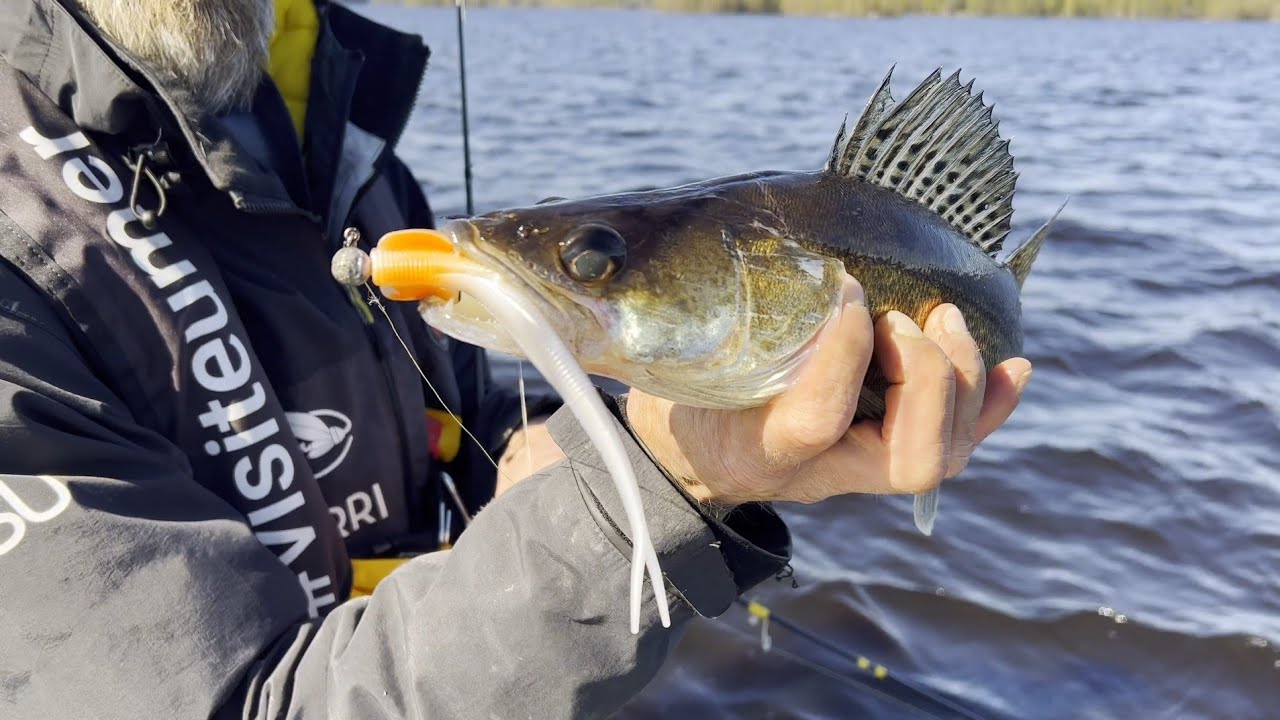 Harrin vinkit kuhan jigikalastukseen ja jigisettien esittely - Nappaako kuha luomuun vai ärsyyn?🤔🎣