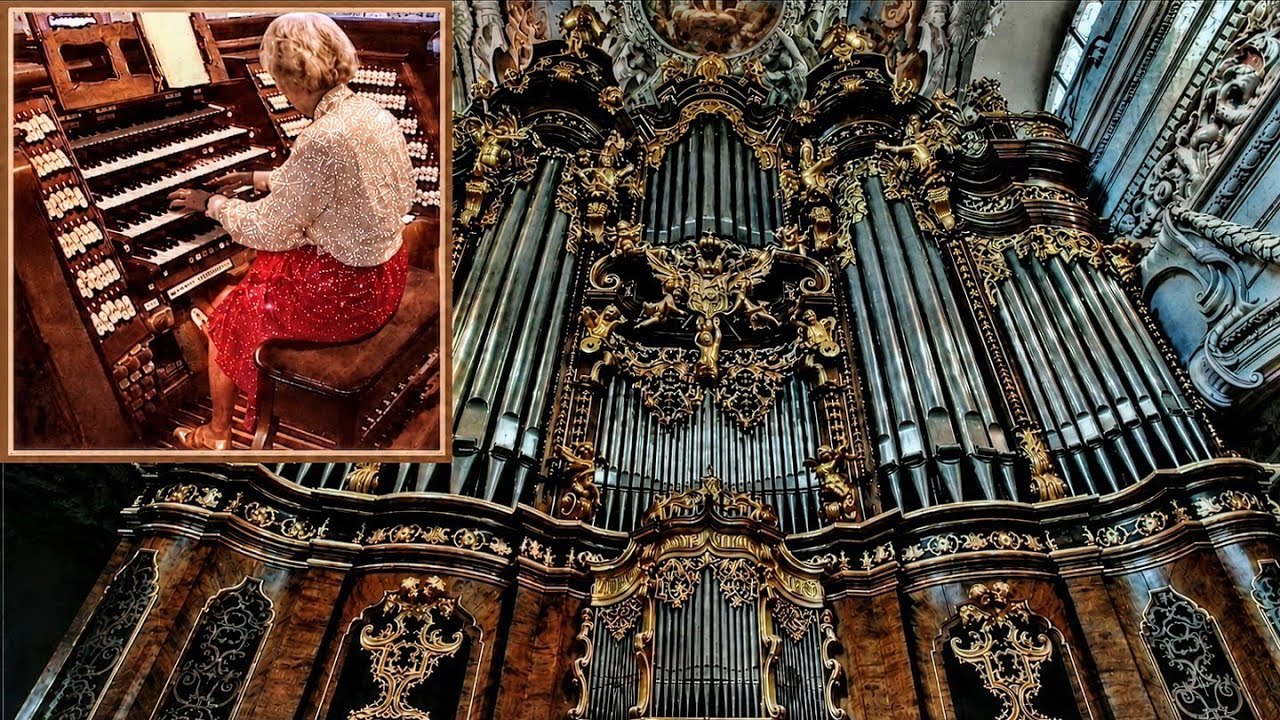 Largest Organ in Europe | 