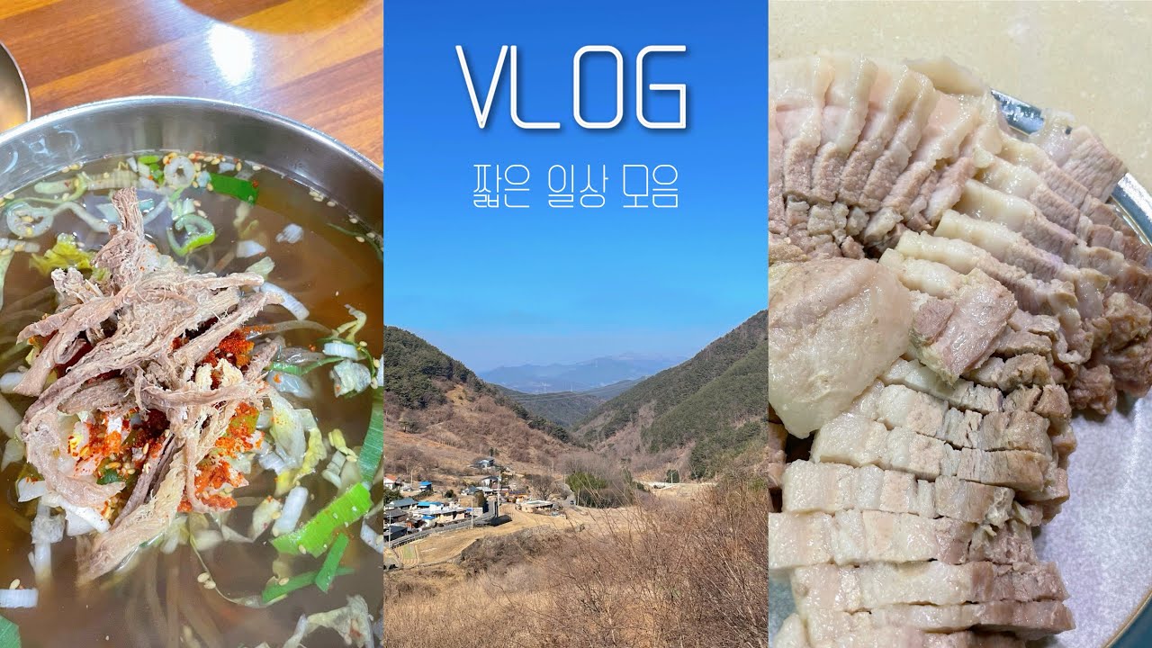 [VLOG] 짧은 일상 모음집(음식만 나옴 주의)